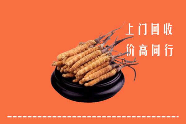 高价求购：正蓝旗回收散虫草